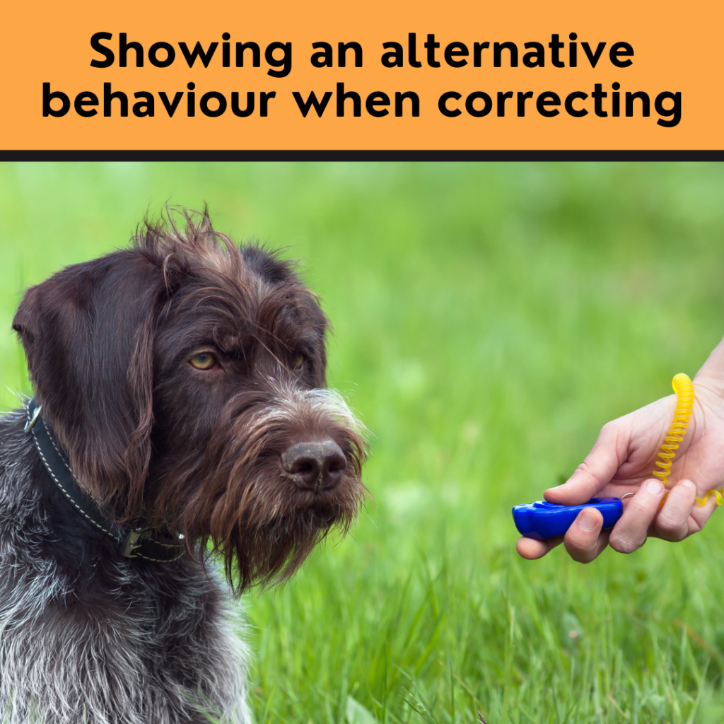 Showing an alternative behaviour when correcting
